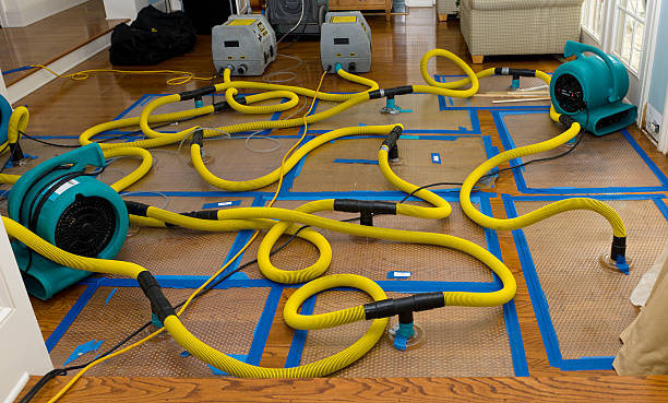 Professional Crawl Space Water Removal technician working in Freeport, OH